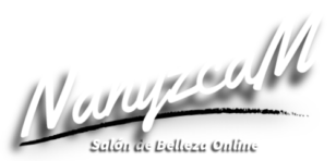 nanyzcam-Logo 2